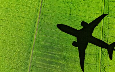 Advanced transport biofuels in China: Sustainable Aviation Fuel (SAF) market and sustainability