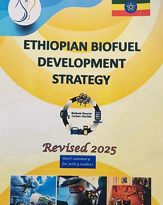 EXERGIA supports in the revision of Ethiopia biofuels strategy